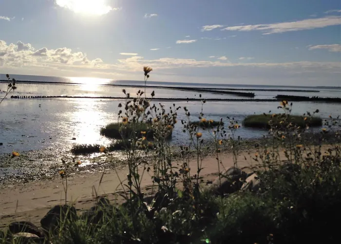 App-eidum-01 * Westerland